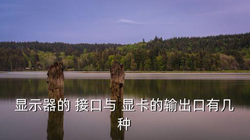 顯卡接口,monitor涉及接口更多主要接口有兩個