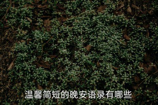 溫馨簡短的晚安語錄有哪些