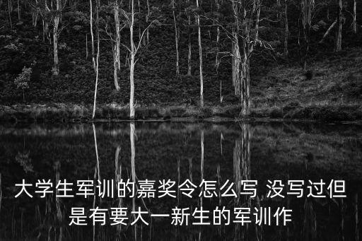 嘉獎(jiǎng)令范文，尋嘉獎(jiǎng)令范文
