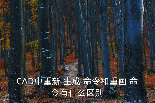 CAD中重新 生成 命令和重畫 命令有什么區(qū)別