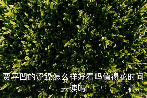 賈平凹的浮躁怎么樣好看嗎值得花時間去讀嗎