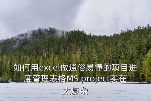 如何用excel做通俗易懂的項目進度管理表格MS project實在太復雜