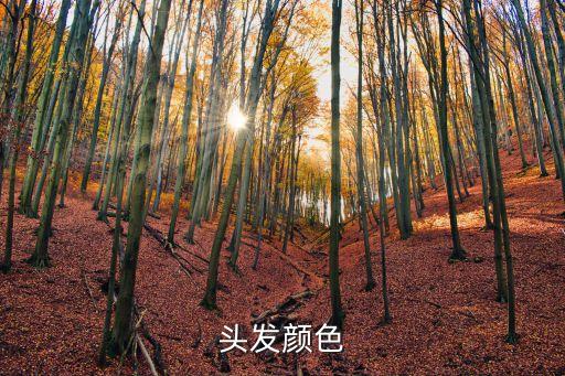 頭發顏色