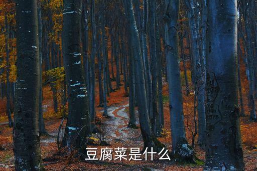豆腐菜是什么