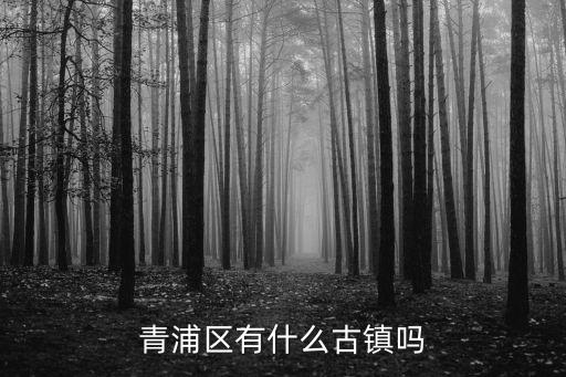 青浦區(qū)有什么古鎮(zhèn)嗎