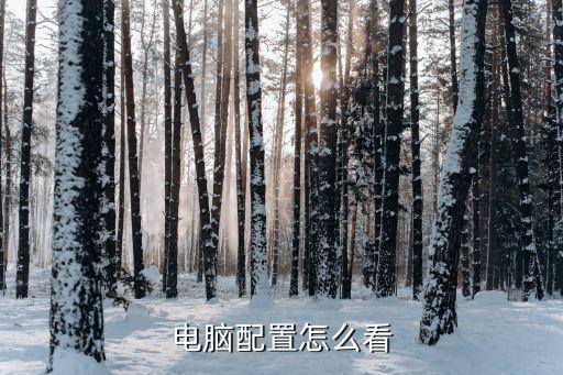 電腦配置怎么看