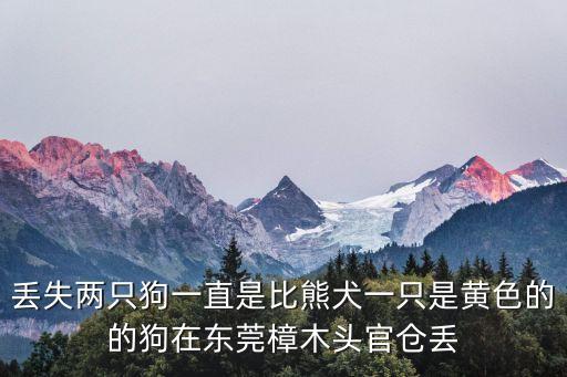 東莞狗狗走失，我的狗狗10月29日在東莞萬(wàn)江新村沿江批發(fā)魚的附近丟了它是黃色的