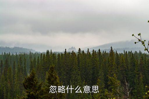 忽略什么意思