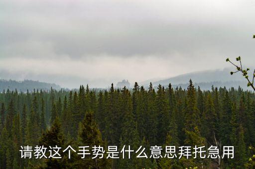 請教這個手勢是什么意思拜托急用