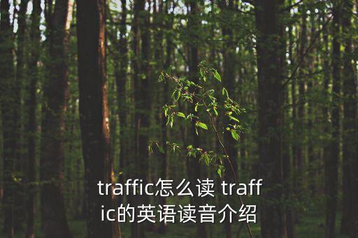 traffic什么意思,一文讀懂!全球各地區的通信標準