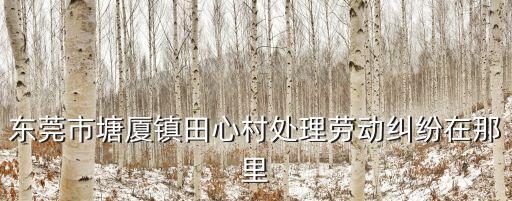 東莞市塘廈鎮(zhèn)田心村處理勞動糾紛在那里