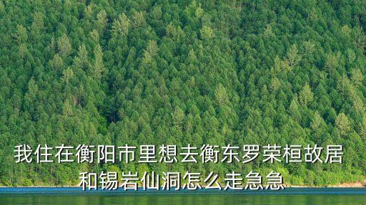 我住在衡陽市里想去衡東羅榮桓故居 和錫巖仙洞怎么走急急