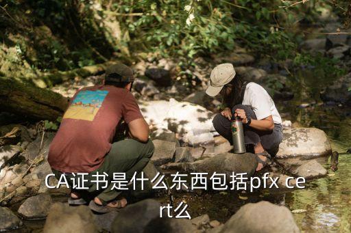 CA證書是什么東西包括pfx cert么