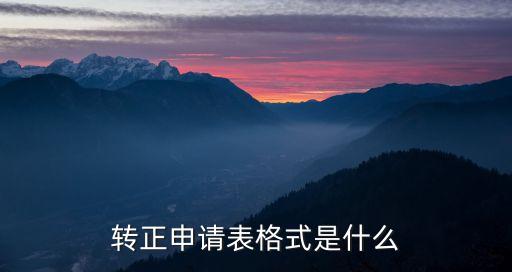 轉(zhuǎn)正申請表格式是什么