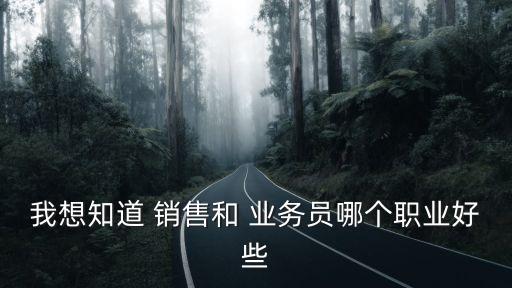 我想知道 銷售和 業(yè)務(wù)員哪個職業(yè)好些