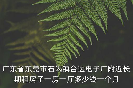 廣東省東莞市石竭鎮臺達電子廠附近長期租房子一房一廳多少錢一個月