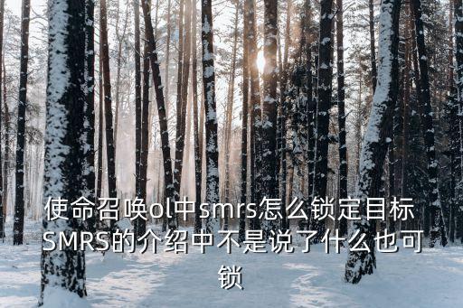 smrs，使命召喚ol中smrs怎么鎖定目標 SMRS的介紹中不是說了什么也可鎖
