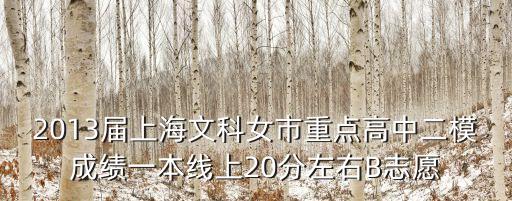 上海市對外文協(xié)沈泓，2013屆上海文科女市重點高中二模成績一本線上20分左右B志愿