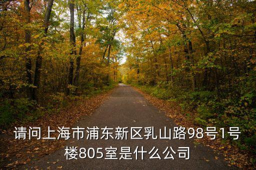 請問上海市浦東新區乳山路98號1號樓805室是什么公司