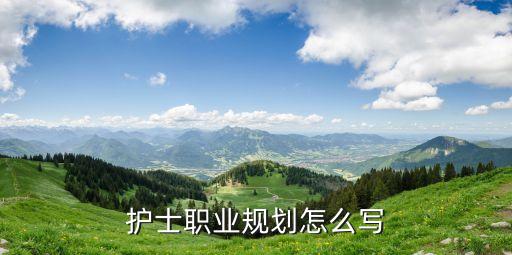 護(hù)士職業(yè)規(guī)劃怎么寫