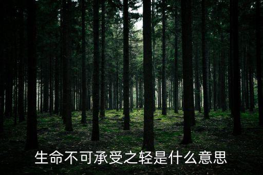 生命不可承受之輕是什么意思