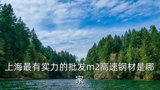 上海最有實力的批發m2高速鋼材是哪家