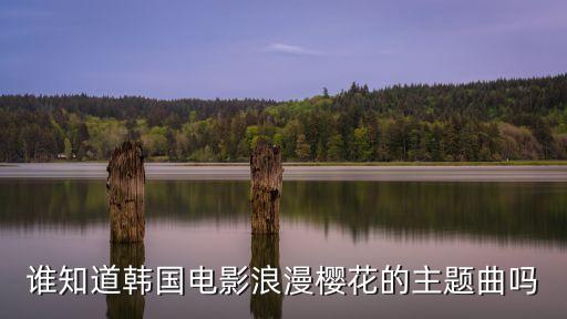 誰知道韓國電影浪漫櫻花的主題曲嗎