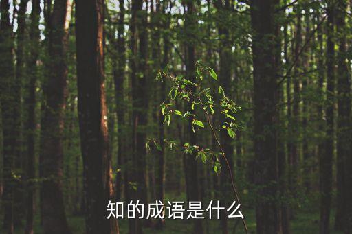 知的成語是什么