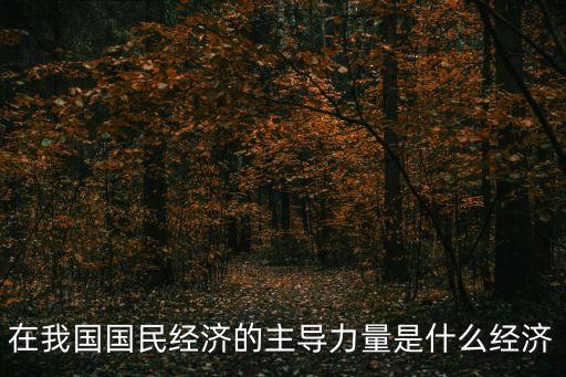 在我國國民經濟的主導力量是什么經濟