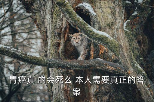 胃癌真 的會死么 本人需要真正的答案