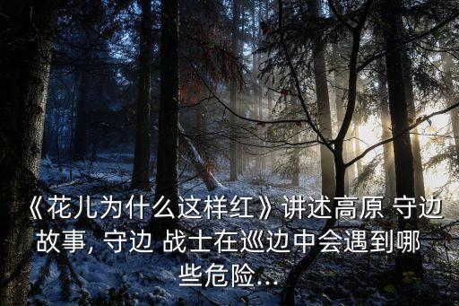 《花兒為什么這樣紅》講述高原 守邊故事, 守邊 戰士在巡邊中會遇到哪些危險...