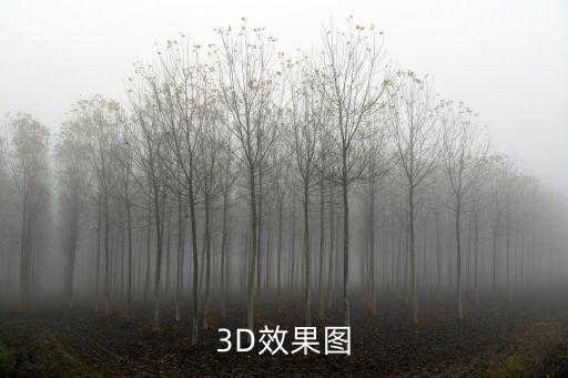 3D效果圖