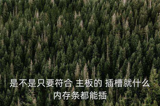 是不是只要符合 主板的 插槽就什么內存條都能插