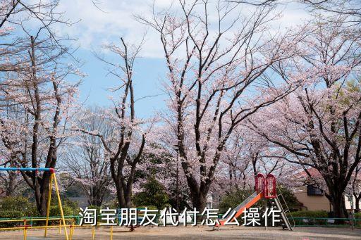 淘寶朋友代付怎么操作