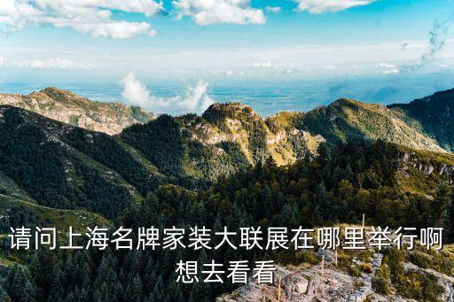 上海市軟裝大會(huì)，請問誰知道最近上海哪有室內(nèi)裝飾座談會(huì)