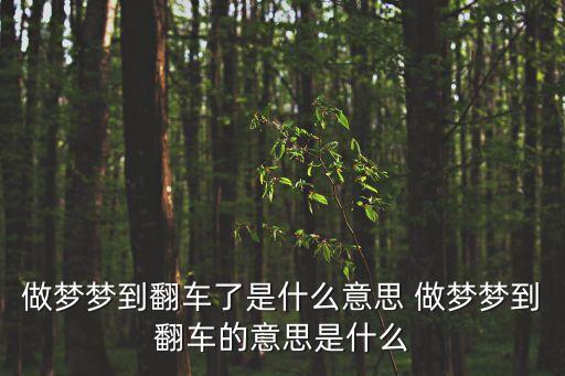 夢到翻車，夢見翻車是什么預兆 msosuoname