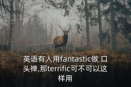 英語有人用fantastic做 口頭禪,那terrific可不可以這樣用