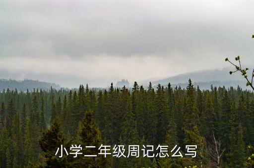 小學二年級周記怎么寫