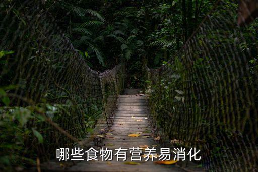 哪些食物有營養(yǎng)易消化
