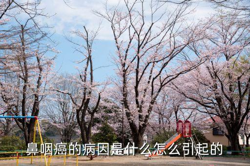 鼻咽癌原因，鼻咽癌是什麼原因呢