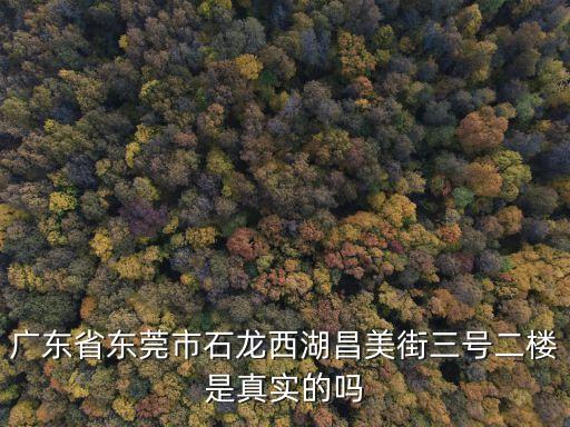 東莞石龍老司機(jī)快餐，廣東省東莞市石龍西湖昌美街三號二樓是真實(shí)的嗎
