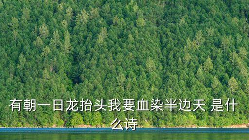 有朝一日龍?zhí)ь^我要血染半邊天 是什么詩