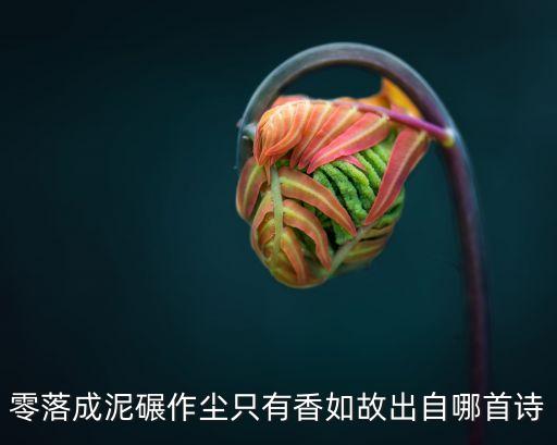零落成泥碾作塵只有香如故出自哪首詩
