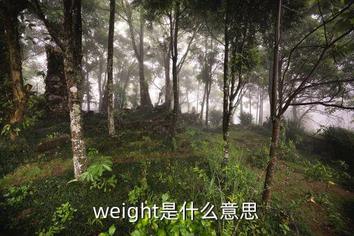 weight怎么讀，weight 是什么意思