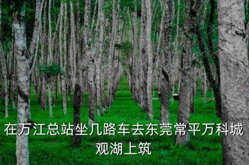 在萬江總站坐幾路車去東莞常平萬科城觀湖上筑