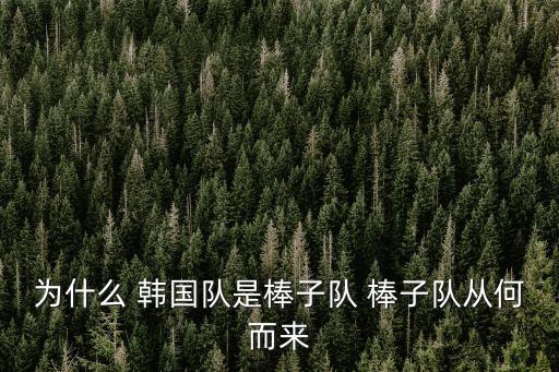 韓國隊，2022年世界杯韓國隊有哪些人