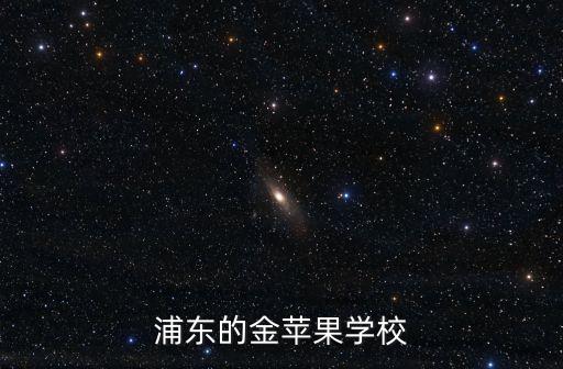 上海市浦東新區民辦金蘋果學校，上海浦東 有沒有一個 金蘋果學校知道的說下