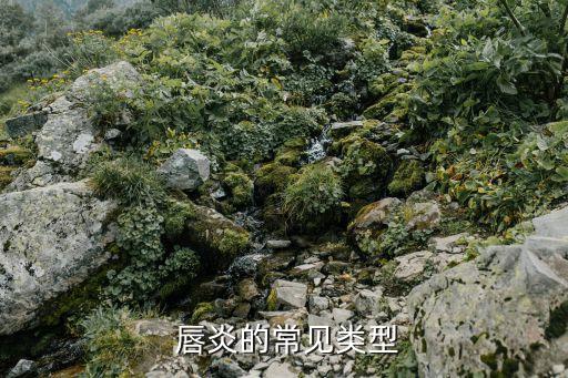 唇炎的癥狀,繼發感染會直接出現膿性液體范圍會不斷擴大