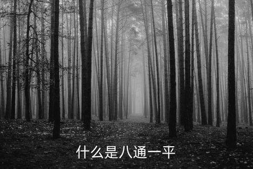 八通，橋頭堡戰略有哪八通