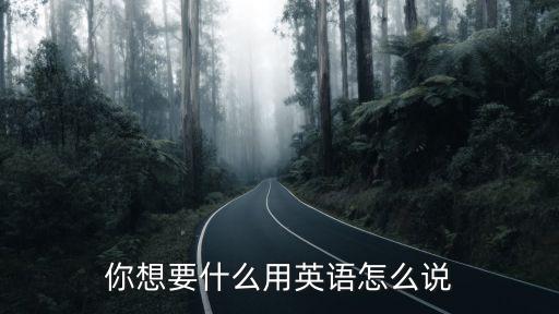 你想要什么用英語怎么說